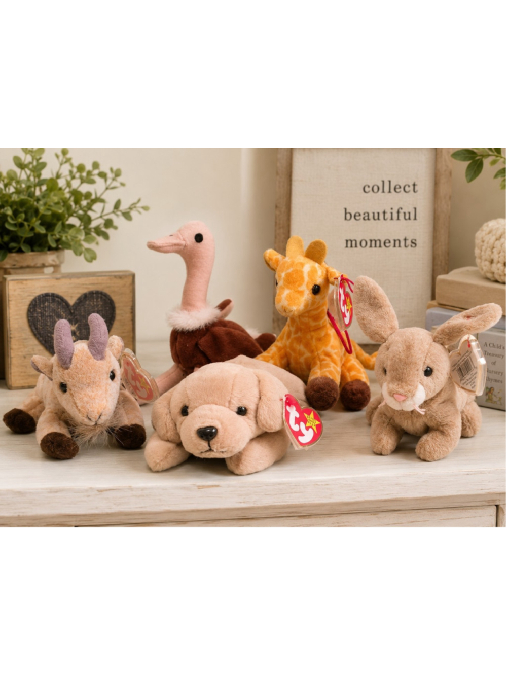 Beanie Babies lot of 5 (Goatee, Fetch, Nibbley, Twigs JB & Stretchy Tee) W/ TAGS